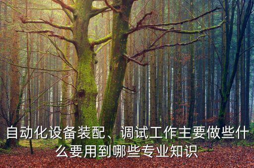 自動化設(shè)備裝配、調(diào)試工作主要做些什么要用到哪些專業(yè)知識