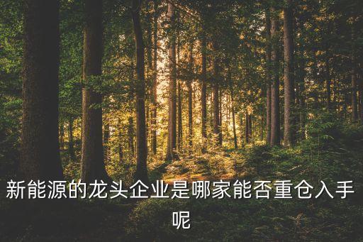 新能源的龍頭企業(yè)是哪家能否重倉入手呢