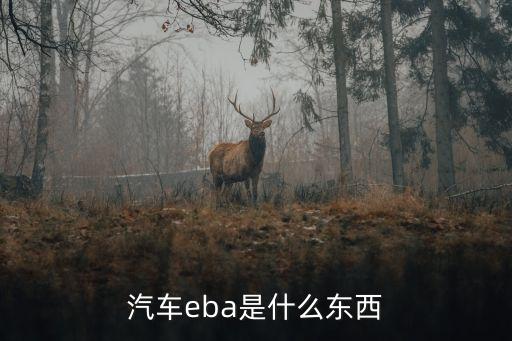 汽車(chē)eba是什么東西