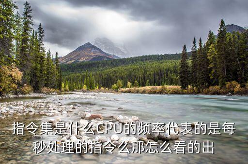 指令集，指令集是什么CPU的頻率代表的是每秒處理的指令么那怎么看的出