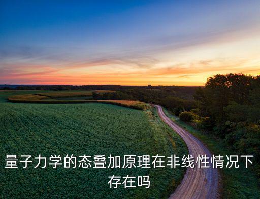 量子力學(xué)的態(tài)疊加原理在非線性情況下存在嗎