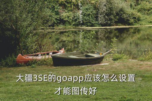 大疆3SE的goapp應該怎么設置才能圖傳好