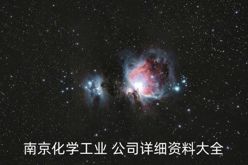 南京化學工業(yè) 公司詳細資料大全