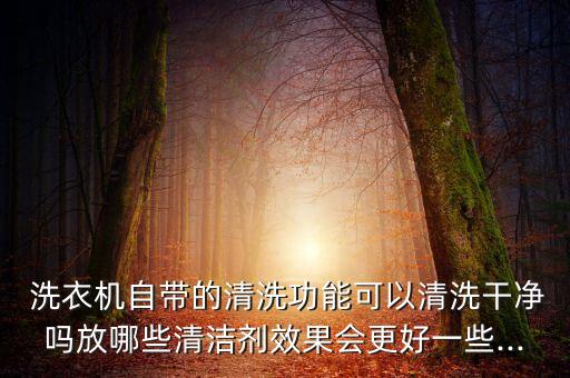  洗衣機自帶的清洗功能可以清洗干凈嗎放哪些清潔劑效果會更好一些...