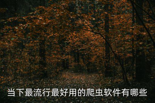 爬蟲(chóng)軟件，爬蟲(chóng)軟件是什么東西