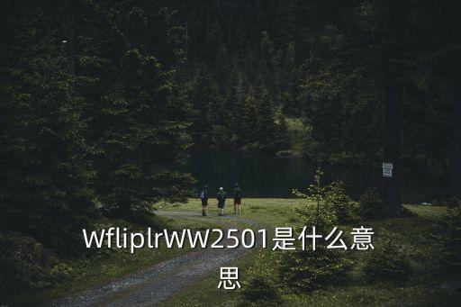 WfliplrWW2501是什么意思