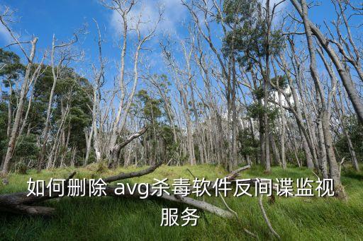 如何刪除 avg殺毒軟件反間諜監(jiān)視服務(wù)