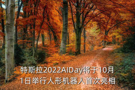 機器人亮相視屏,國產(chǎn)機器人亮相迪拜世博會特斯拉擎天柱亮相