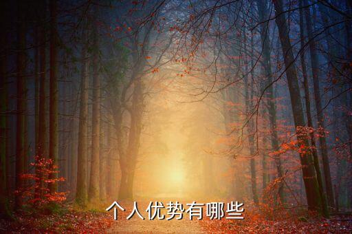 個(gè)人優(yōu)勢(shì)有哪些