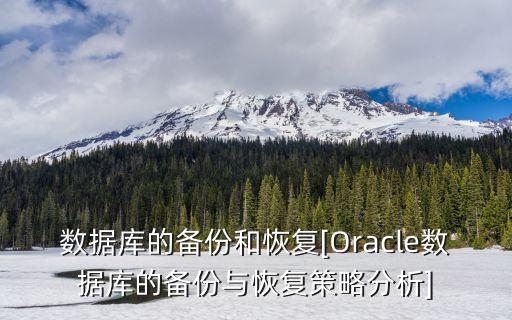 數(shù)據(jù)安全備份方案,數(shù)據(jù)備份哪種方式最安全?