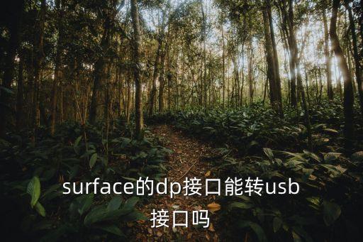 dp轉(zhuǎn)typec，電腦怎樣加usb typec接口