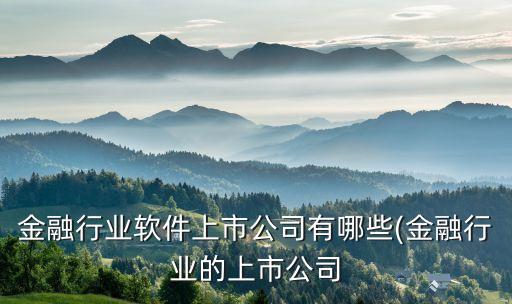 金融行業(yè)軟件上市公司有哪些(金融行業(yè)的上市公司