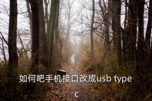 如何吧手機接口改成usb type c