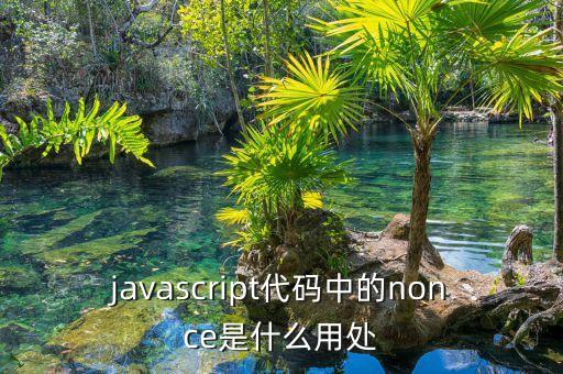javascript代碼中的nonce是什么用處