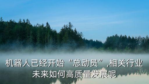 機器人已經開始“總動員”,相關行業(yè)未來如何高質量發(fā)展呢