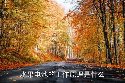 水果電池原理，水果電池是怎么回事原理是什么怎么制作