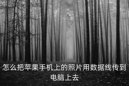 怎么把蘋(píng)果手機(jī)上的照片用數(shù)據(jù)線傳到電腦上去