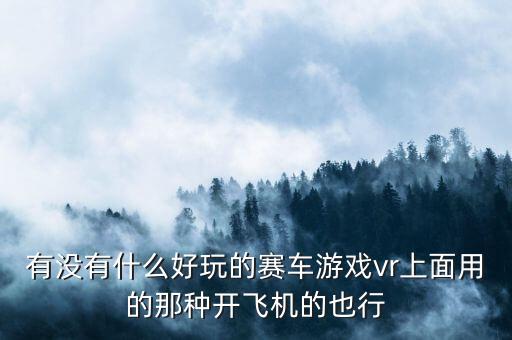 有沒(méi)有什么好玩的賽車(chē)游戲vr上面用的那種開(kāi)飛機(jī)的也行
