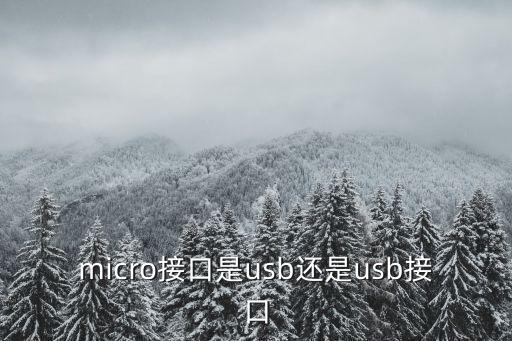 micro接口是usb還是usb接口