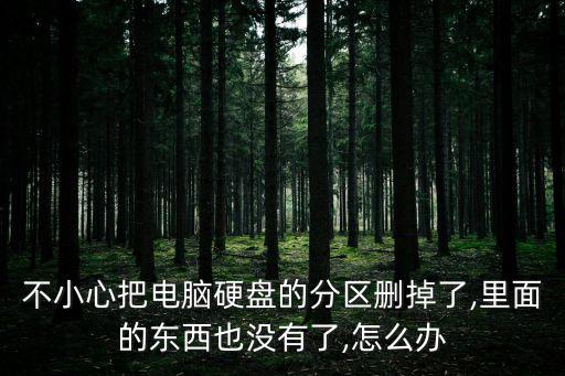 分區(qū)數(shù)據(jù)沒了怎么恢復,硬盤分區(qū)丟失數(shù)據(jù)怎么辦?
