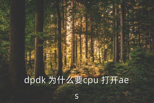 dpdk，dpdk為什么numa socket