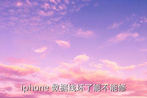 修一根數(shù)據(jù)線,一根原裝數(shù)據(jù)線能用多久