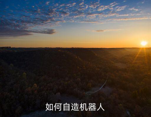 如何自造機(jī)器人