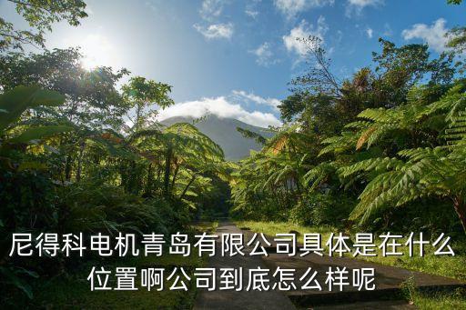 尼得科電機(jī)青島有限公司具體是在什么位置啊公司到底怎么樣呢
