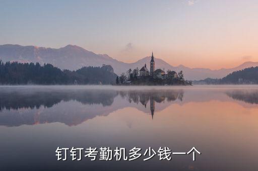釘釘考勤機多少錢一個