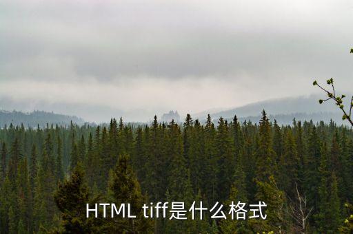 HTML tiff是什么格式
