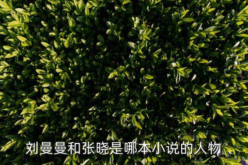 劉曼曼和張曉是哪本小說(shuō)的人物