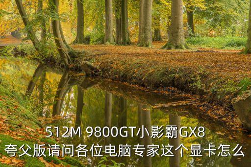 512M 9800GT小影霸GX8夸父版請(qǐng)問各位電腦專家這個(gè)顯卡怎么