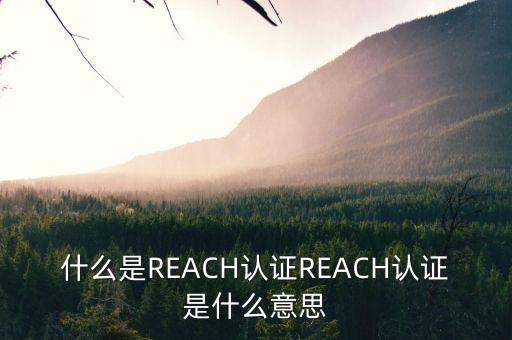 什么是REACH認(rèn)證REACH認(rèn)證是什么意思