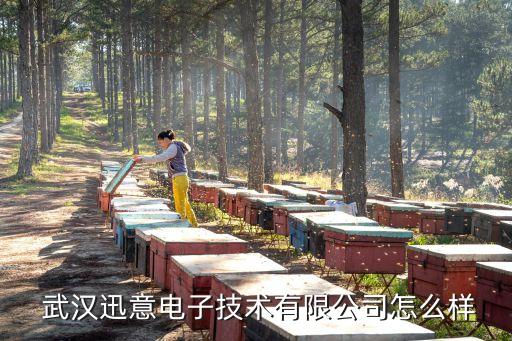  武漢迅意電子技術有限公司怎么樣
