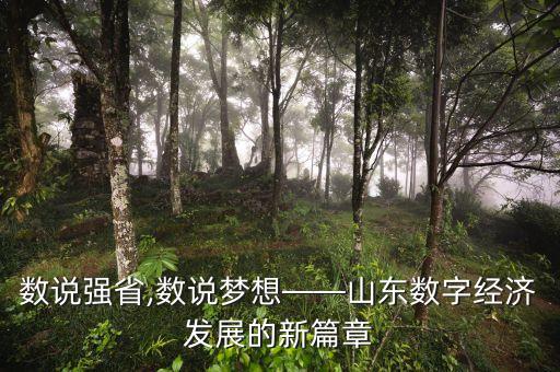 數(shù)說(shuō)強(qiáng)省,數(shù)說(shuō)夢(mèng)想——山東數(shù)字經(jīng)濟(jì)發(fā)展的新篇章