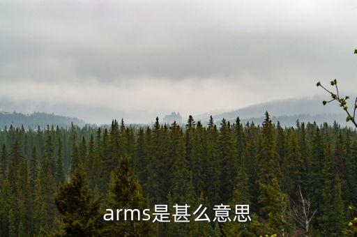 arms是甚么意思
