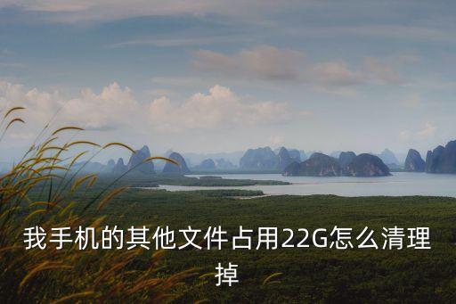 我手機(jī)的其他文件占用22G怎么清理掉