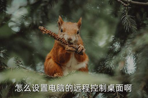 怎么設(shè)置電腦的遠(yuǎn)程控制桌面啊