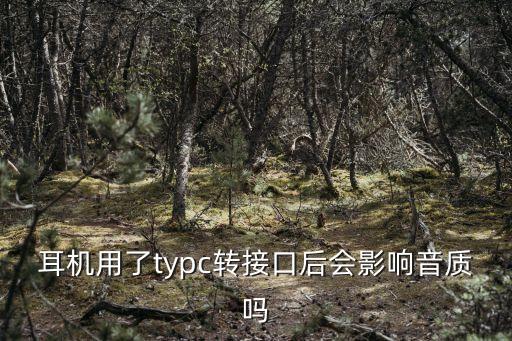 耳機用了typc轉(zhuǎn)接口后會影響音質(zhì)嗎