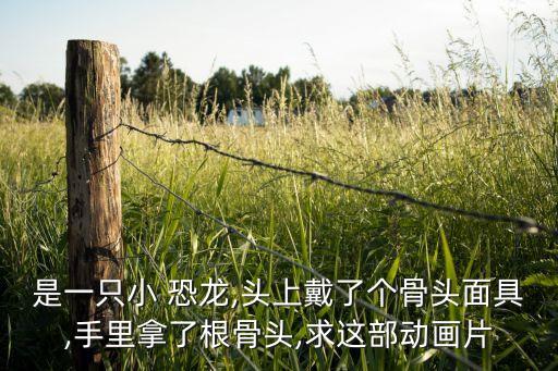 寵物小恐龍機器人。,飛到絕技寵物小恐龍怎么獲得
