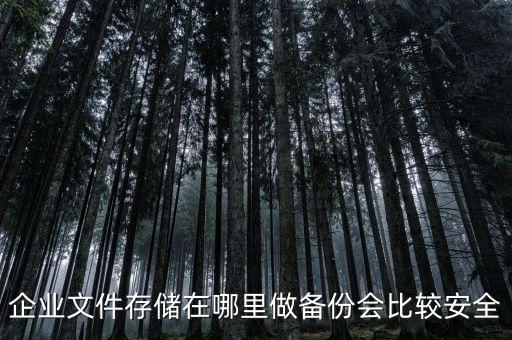 企業(yè)文件存儲在哪里做備份會比較安全