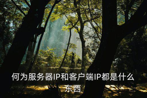 服務(wù)器ip，服務(wù)器ip地址是什么