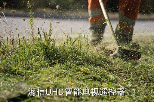 海信UHD智能電視遙控器