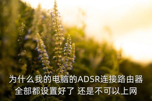 為什么我的電腦的ADSR連接路由器全部都設置好了 還是不可以上網