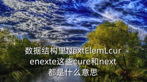 數(shù)據(jù)結(jié)構(gòu)里NextElemLcurenexte這些cure和next都是什么意思