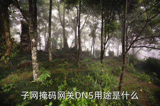 子網(wǎng)掩碼的作用，為什么要使用子網(wǎng)掩碼