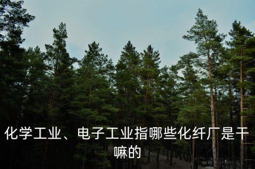 化學(xué)工業(yè)、電子工業(yè)指哪些化纖廠是干嘛的