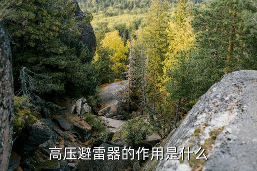 高壓避雷器，高壓避雷器就一種嗎常用的是哪些有關(guān)于電桿上的那些