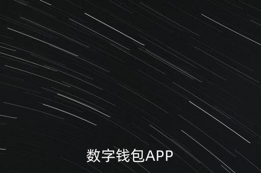 數(shù)字錢包APP