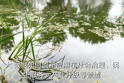 李德偉 大數(shù)據(jù)改變世界